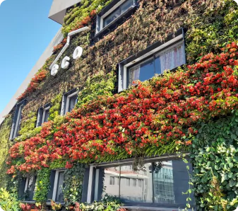 חזיתות ירוקות