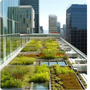 היקף שוק בינלאומי גגות ירוקים