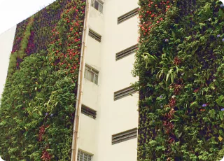 Universidad Del Claustro De Sor