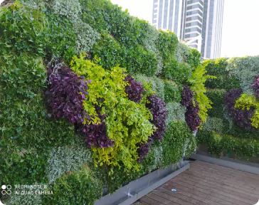 בית חולים רפאל תל אביב