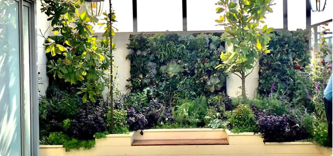 גינון פרטי - מייצרים מרחבים פרטיים טבולי ירק ומעוף