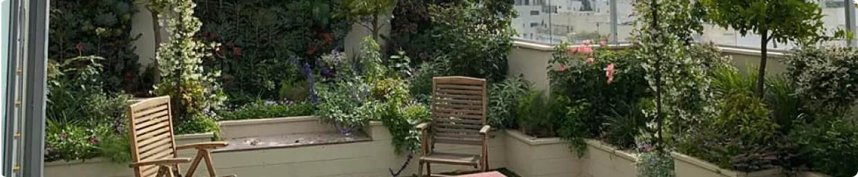 אנו מעצבים גינות גג ופנטהאוז צומחים על הגובה משלב התכנון ועד להתאקלמות הצמחייה.   ברשותנו מגוון שירותים רחב אשר מציעים מגוון רחב של אפשרויות שבעזרתם אנו מפיחים חיים בחזונות ירוקים. החשיבה והתכנון בעיצוב גג/פנטהאוז ירוק, היא חשיבה שונה המתחשבת בסביבה לא טבעית. כלומר, אנו מעוניינים לייצר גינה ירוקה וטבעית, במקום שאין בו אדמה והוא נמצא על הגובה.