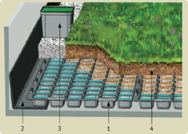 מרכיבי מערכת אקוגג: