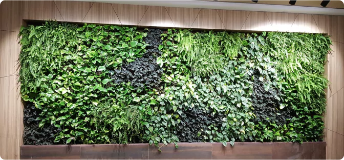 קיר ירוק נושם