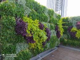 בית חולים רפאל תל אביב