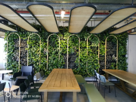 מייקרוסופט הרצליה קומה 1